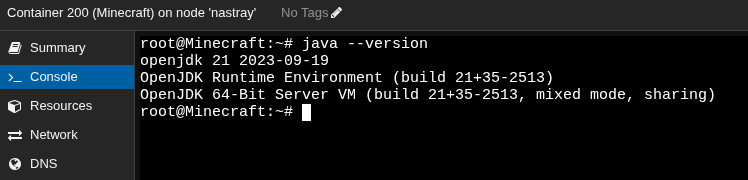 Java version for Minecraft Server Proxmox setup
